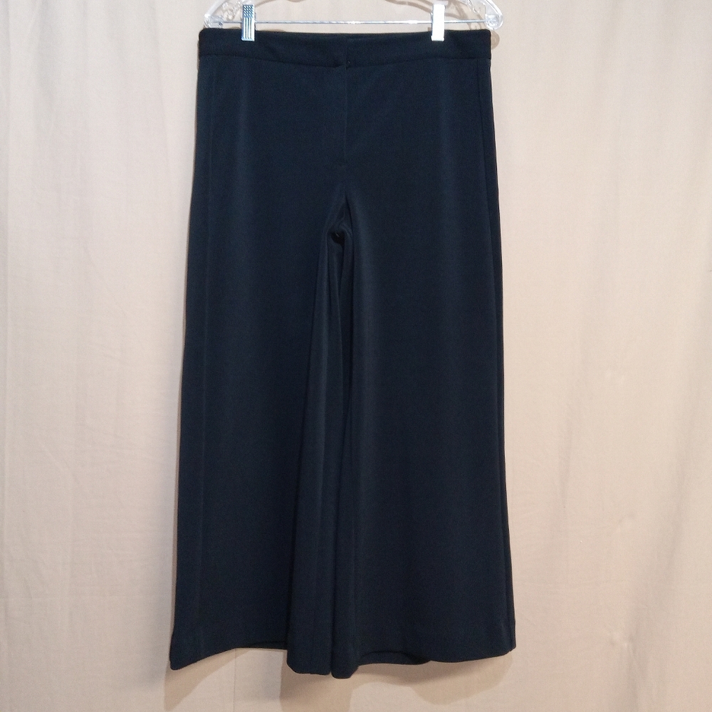Ann Taylor Women's Cropped Palazzo Pants Size 8 Black Front Zip
